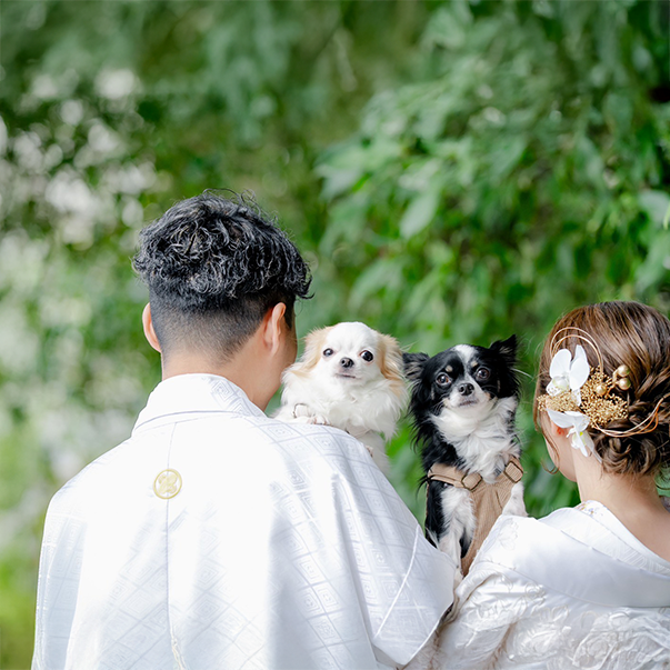 昼はカフェ、夜は居酒屋。八女郡広川町のペット可の当店は、口コミで愛されるお店を目指しています!